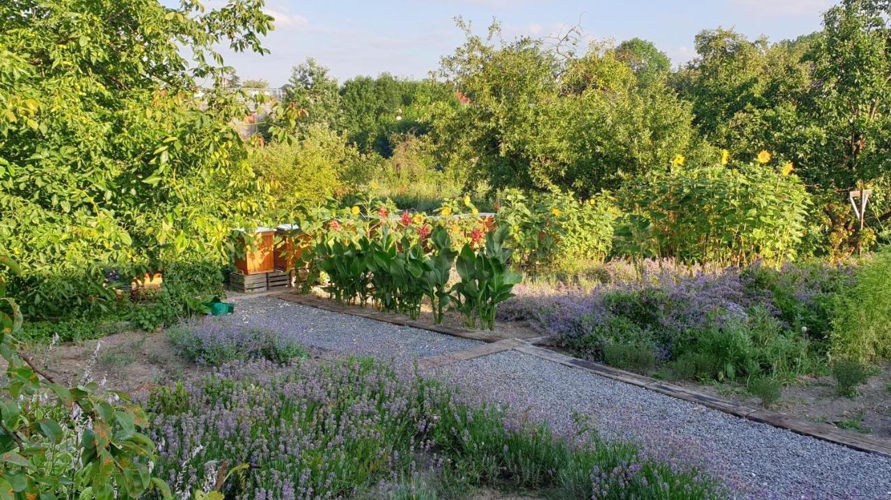 Agroturystyka U Joli Pacanow Экстерьер фото